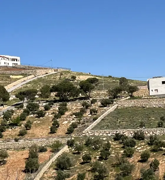 5,602 m² land with open views in Um Rummanah, near Dalleh roundabout