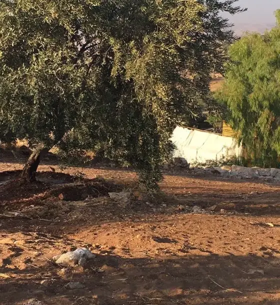 3,445 m² land on two streets at the top of Al-Alouk