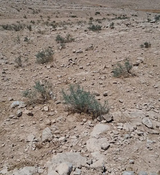 2,139 m² multi-use plot in Al Hashemieh, Al Matar basin