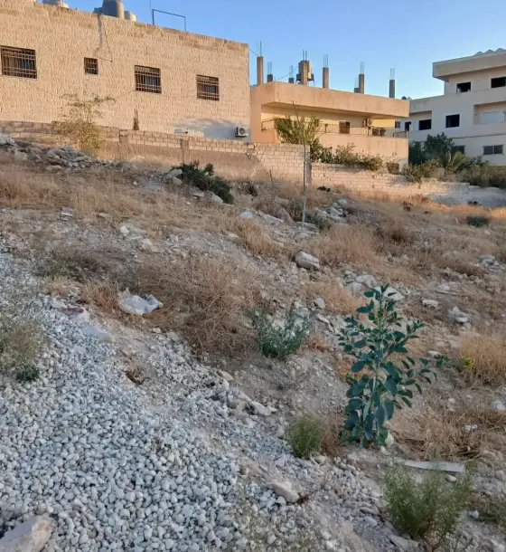 أرض سكنية 925 م² مطلة في ضاحية المدينة المنورة
