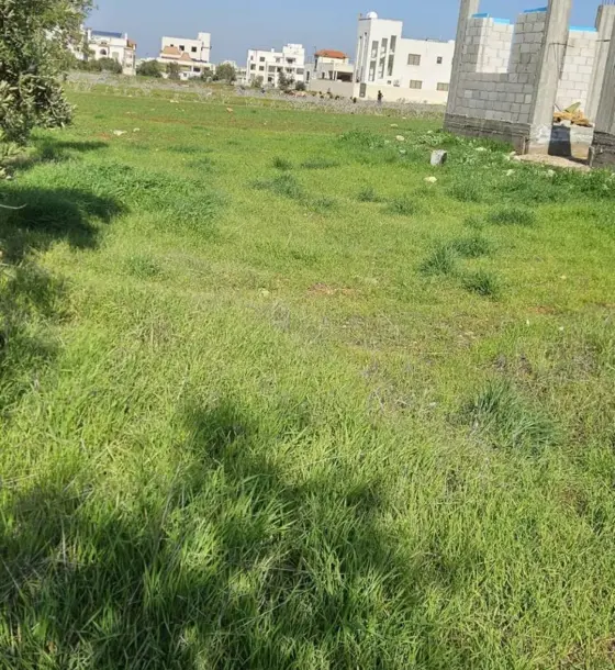 457 m² Residential C plot in Bushra, Al Dughaim basin, south of Sago schools