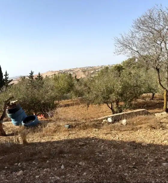 Bait Ras land bundle: 17 residential plots with a stone house, 10,697 m² in total