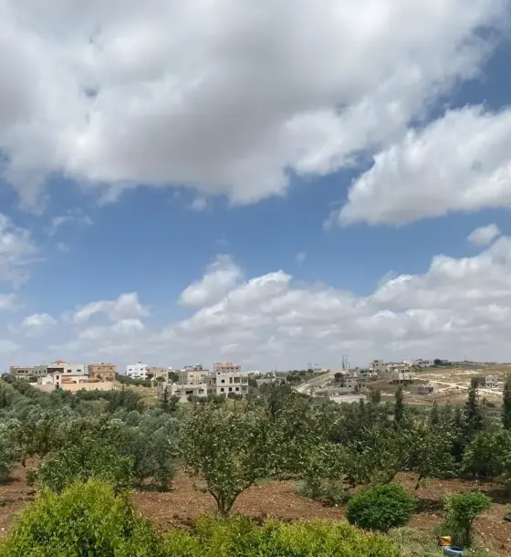 4,527 m² land with a two-storey house and olive trees in Kitim, Irbid