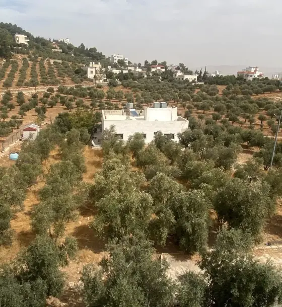 Al Ja'ia, Al Saro: 2 dunums of Residential A villa land, whole or by the dunum