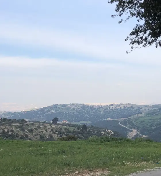Planted, fenced 3,600 m² plot in Zay, Salt, on two streets with views to Ajloun and Jerash