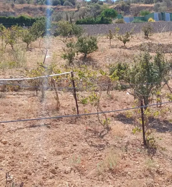 Vineyard with a well in Kafr Hooda, Salt: 4,791 m², fenced, on two streets