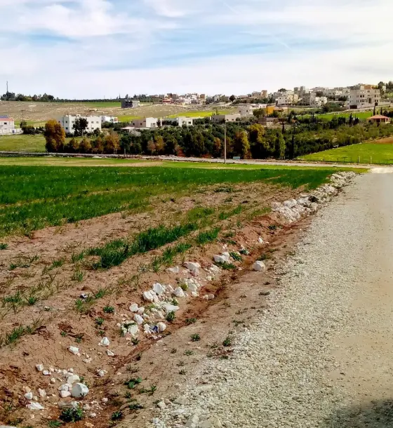 4,167 m² farm land with 87 m road frontage for sale in Umm Rasin, Mai’n