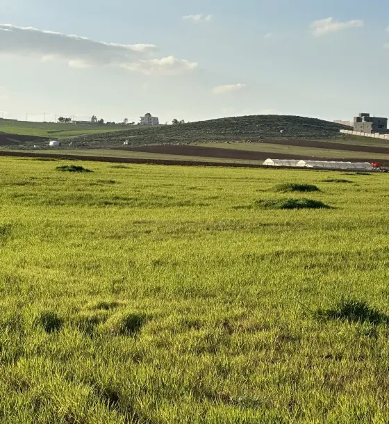 Nearly 4 dunums of fertile farm land near the King’s Highway for sale in Madaba