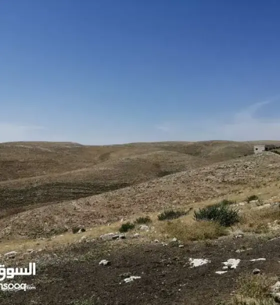 12,000 JOD for the whole 4-dunum plot in a quiet spot in Lib, Madaba