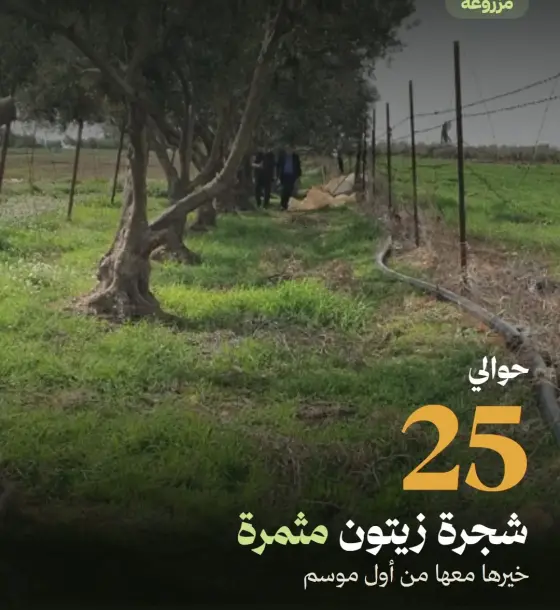 3,490 m² land on two streets behind King’s Academy for sale in Jbeil, Madaba