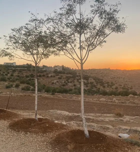 Rawabi Madaba project, Mkawer: 750 m² Residential B plot with own title for 8,900 JOD