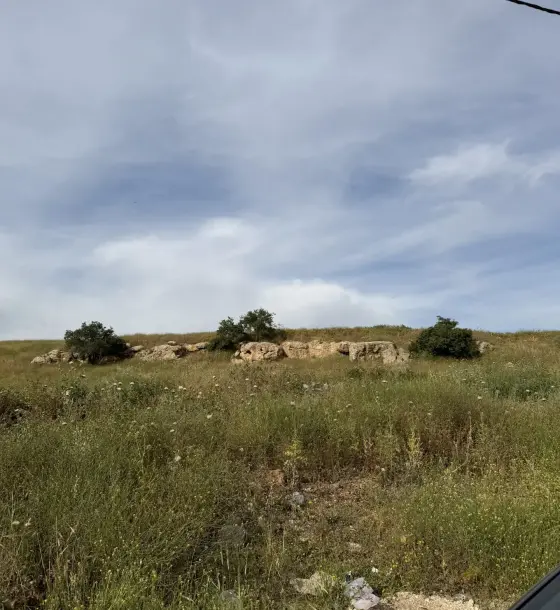 Bab Amman, Jerash: elevated 833 m² plot with open views near the main road
