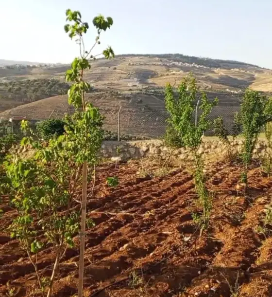 Drip-irrigated farm in Unaybah, Jerash, with a 200 m² duplex chalet shell