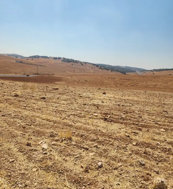 Two street frontages on the Irbid–Zarqa road: 13.4 dunum plot in Qafqafa, Jerash
