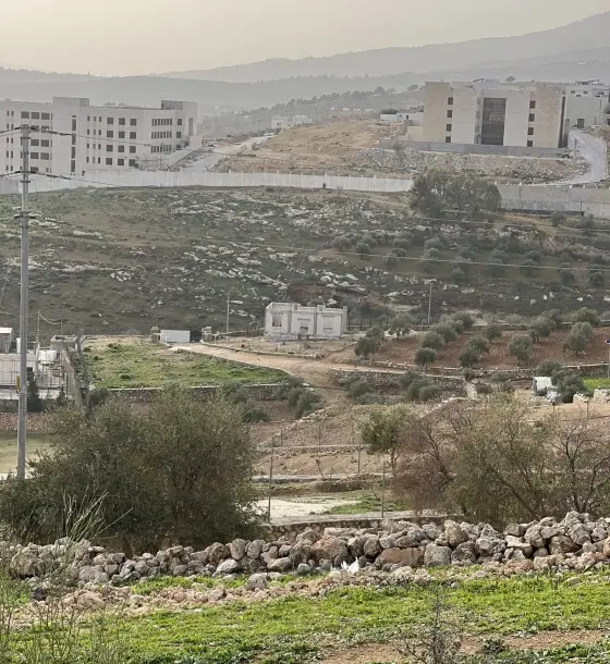 Olive land on two streets in Al-Nabi Hud, Al-Rashaida, 3,400 m² with panoramic views