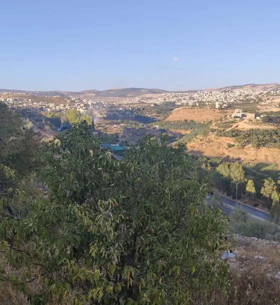 3.9 dunum farm with a three-storey villa and indoor pool for sale in Jbarat, Jerash