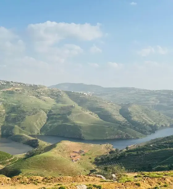 أرض مستوية 3,150 م² مطلة على سد الملك طلال للبيع في المجدل بجرش
