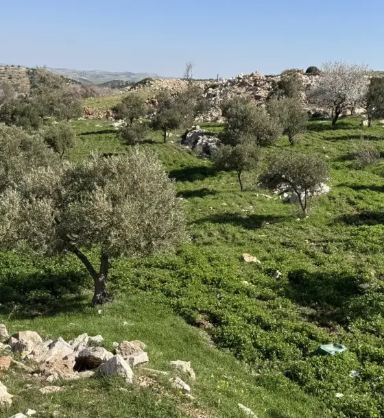 Newly subdivided 2,000 m² plot with panoramic view on the Sakhra-Naimeh road, Ajloun