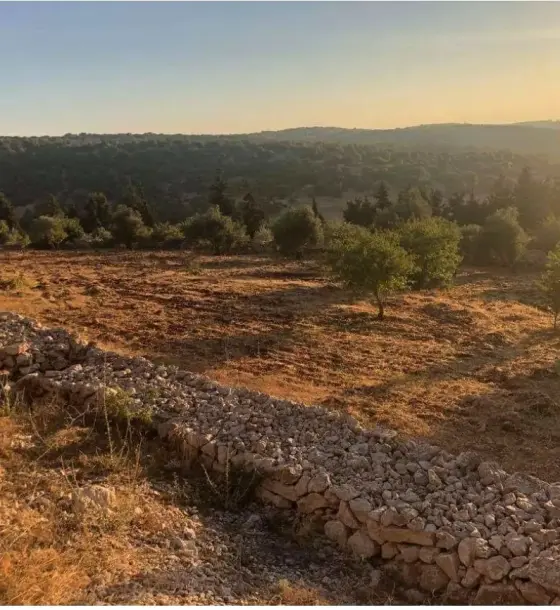 10-dunum fenced fruit farm with 124 m road frontage for sale near A'fna, Ajloun