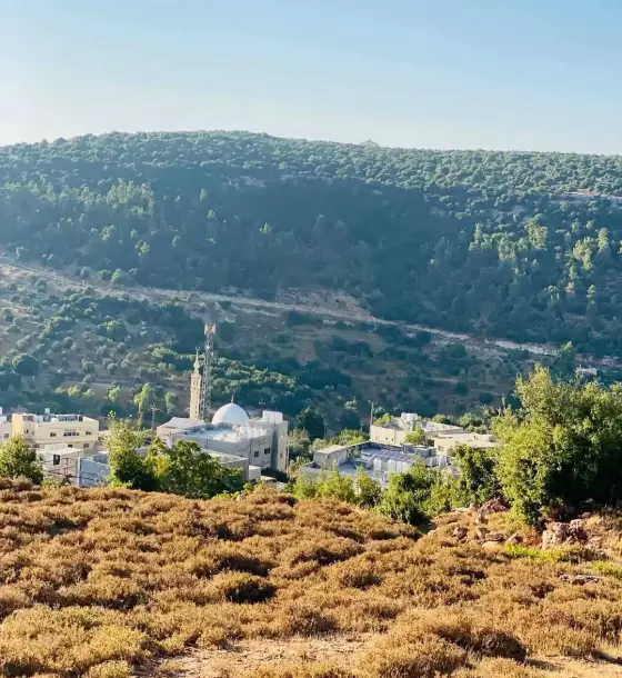 Fully serviced 798 m² residential plot with panoramic view for sale in Ein Jana