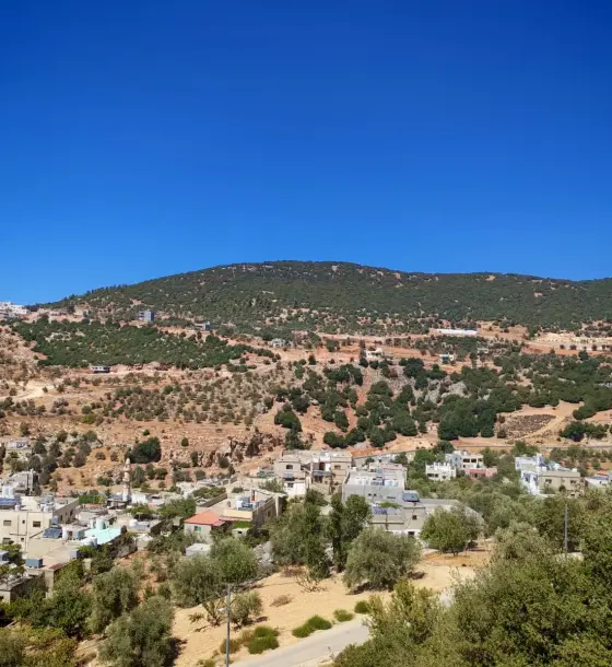 أرض سكنية 2,272 م² مطلة على قلعة عجلون للبيع في عين جنا