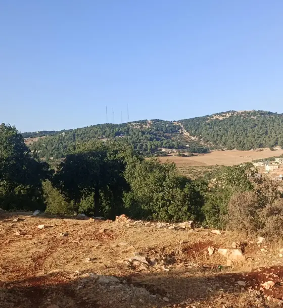 Own title deed: 1,048 m² plot in the Um Al Juloud chalet area of Anjara