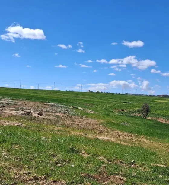 174-dunum flat red-soil farm land for sale in Al-Qasr, Karak, overlooking the Dead Sea