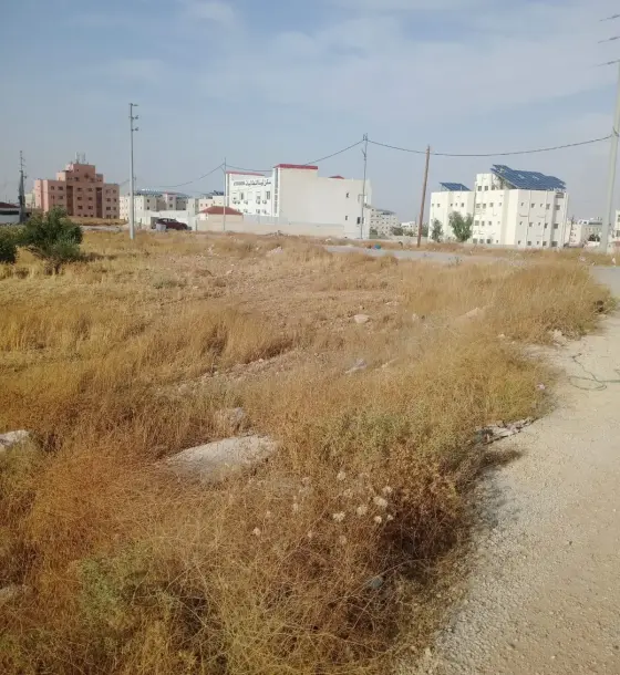 960 m² plot for sale 100 m from Mu'tah University's north gate, Karak