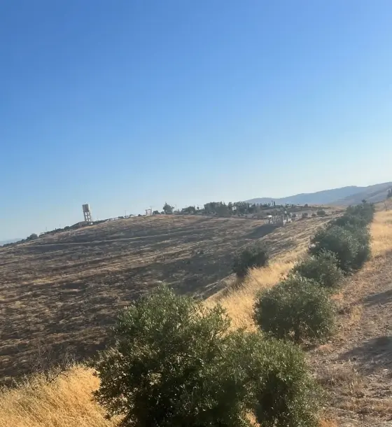 12.5-dunum hilltop plot in Rhab with 100 olive trees and a well