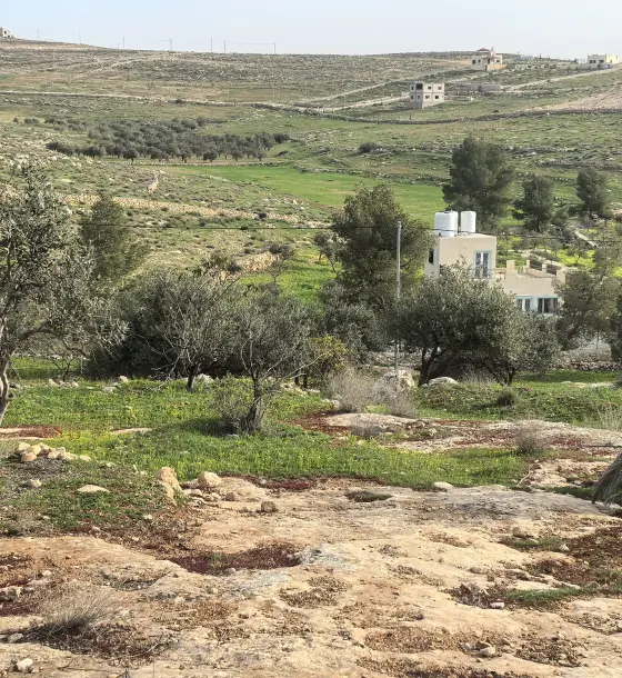 4-dunum planted plot with a water well in Bala'ama, near King Abdullah II housing