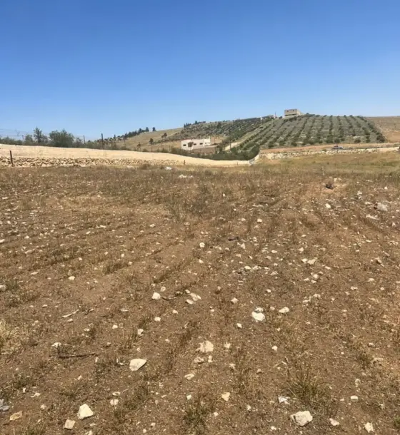 Flat 15.8-dunum rectangular plot on the Mafraq-Bala'ama road, Hayyan Al Moshref