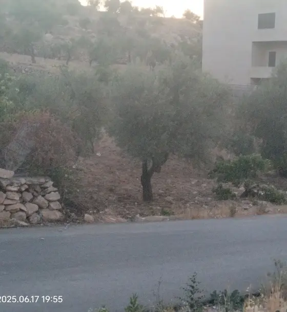 Safoot, Al Jubayha: high 820 m² plot overlooking Amman, suits a housing project