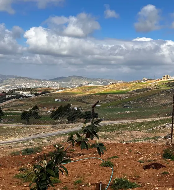 Raised 501 m² plot on two streets for sale in Safoot, north Amman