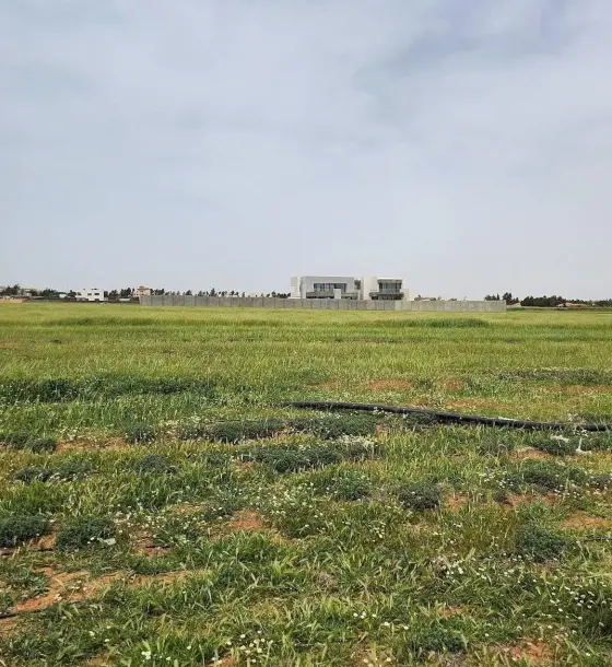 Al Najmiyya basin farmland in Umm Al-Amad, about 10 dunums, for sale