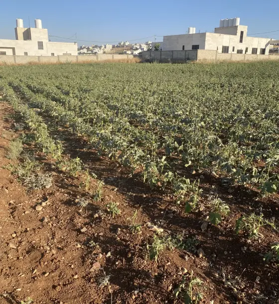 Subdivided 689 m² plot at a keen price for sale in Jawa