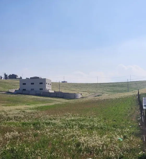 4 dunums on high ground near Almih Street, for a villa, farm or project