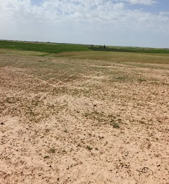 Mixed-use 3,550 m² plot near farms and homes in Al Nahda, Umm Al-Rasas