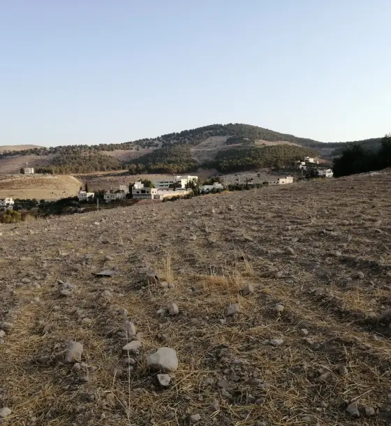 Al Sulaihi, end of Jordan Street: 863 m² Residential B plot with views