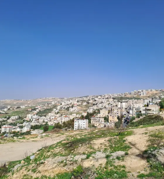 حوض عين أم جوزة في الكمالية: أرض سكن ب 780 م² على شارعين