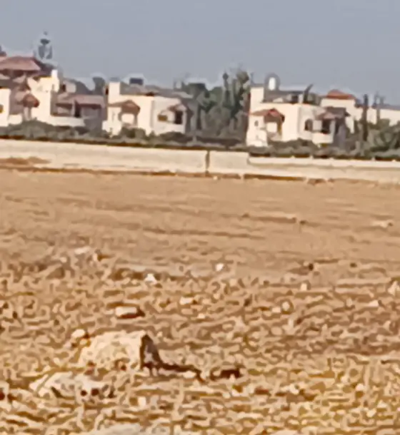 530 m² Residential B plot for sale in Manja, Tasan basin, on a paved 14 m street