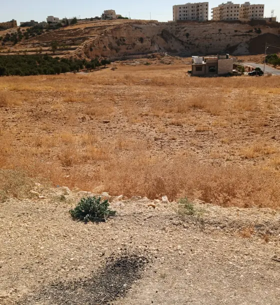 Residential A plots of 901-990 m² with separate deeds for sale in Husban, from 53,000 JOD