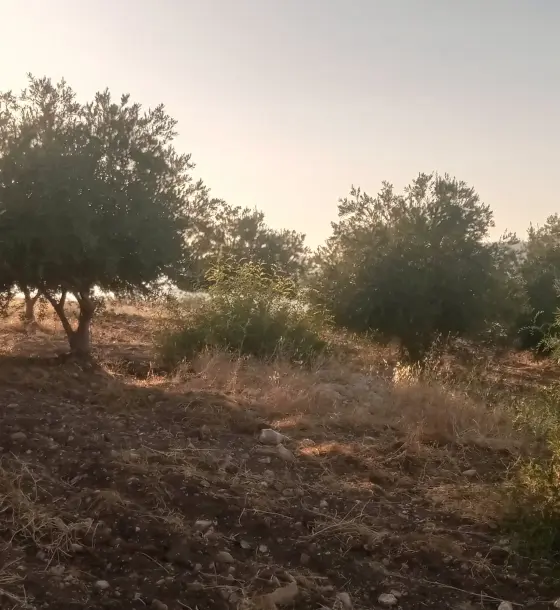أرض زراعية 650 م² للبيع في المخيبة التحتا، مطلة على الحمة وبحيرة طبريا