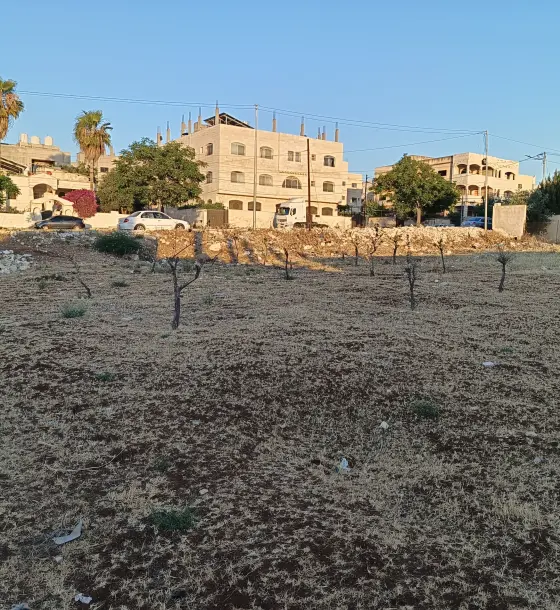 700 m² residential plot for sale in Honaina on Al Qadisiyah Street, from the owner
