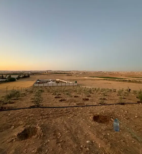 Znaya farmland, fenced, with olive and citrus trees and a caravan, for sale