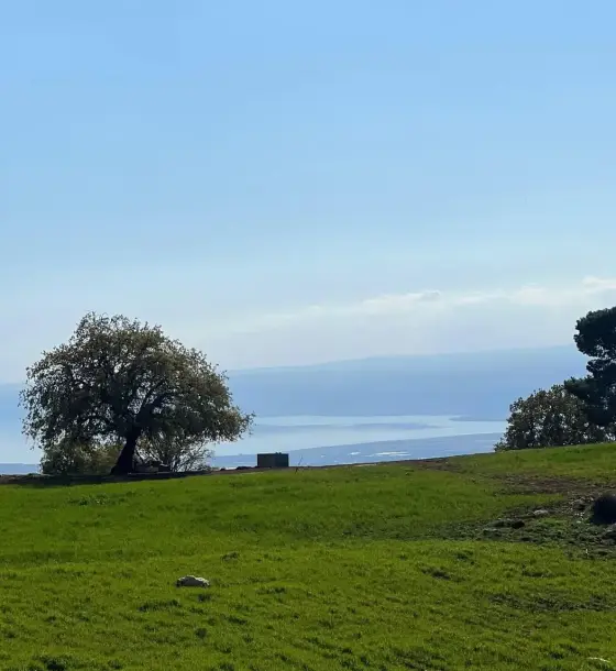 Great views from a 1,500 m² plot in the Umm Abhara basin, Bader Al Jadedeh