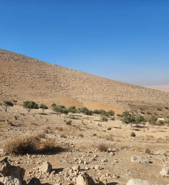 10-dunum farmland with its own deed for sale in Hamnana, Mafraq