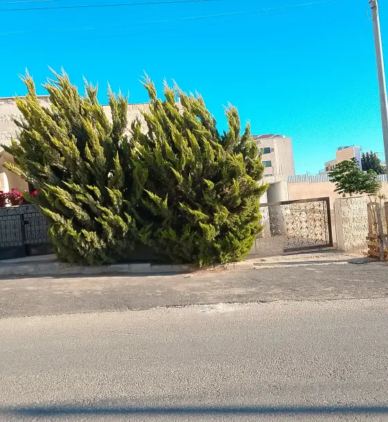 Four flats in a two-floor semi-villa on a 706 m² plot, Al Muwahhideen, Shafa Badran