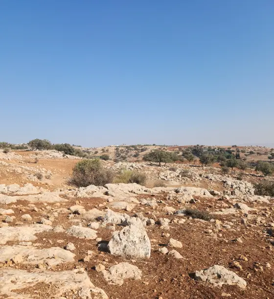 West-facing 4,000 m² plot on two streets in Hay Al Ameerat, Badr Al Jadida
