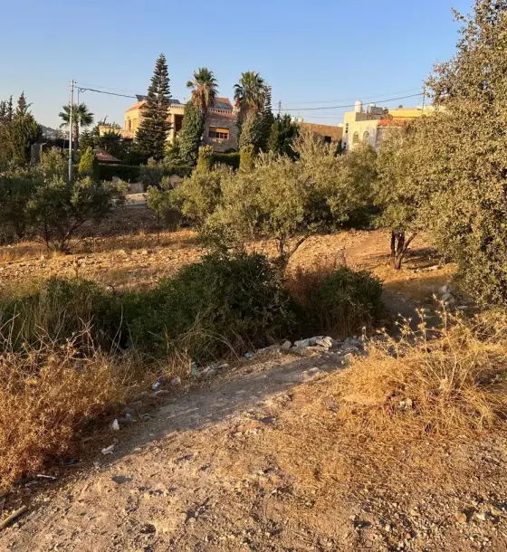 Among independent villas in Bader Al Jadedeh: 523 m² plot for sale