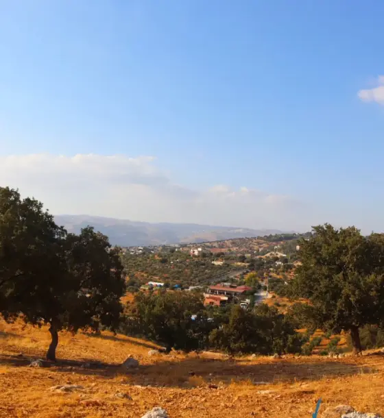 Valley views from a near-level 1,093 m² plot in Bader Al Jadedeh